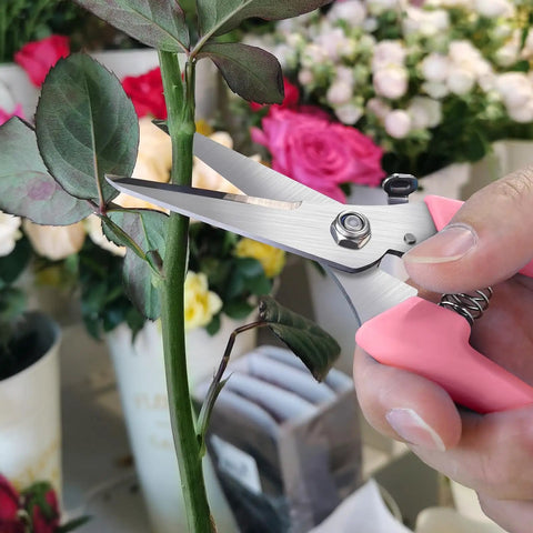 Close-up of pink 7.6 Inch Pruning Shears For Beginners That Are A Real Workhorse With High Strength Stainless Steel Sharp Rust Resistant Blades And Comfortable Grip Handles Garden Clippers For Roses And Flowering Plants Pink cutting a rose stem.
