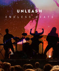 Silhouetted band performing on stage with colorful backdrop in live concert setting.