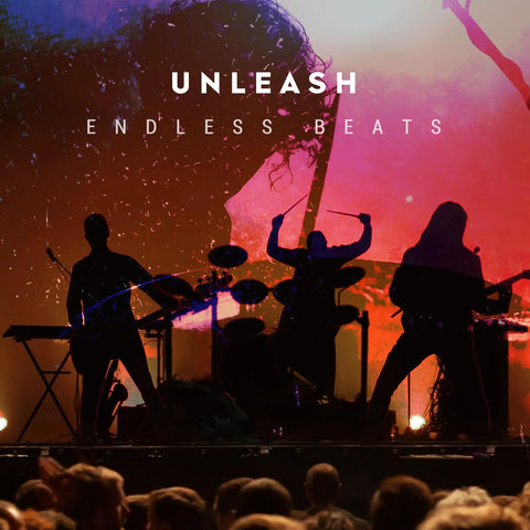 Silhouetted band performing on stage with colorful backdrop in live concert setting.
