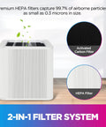 2 Pack 211+ Replacement Filter For Blue Pure 211+ Air Cleaners, cutaway view showing HEPA and activated carbon filters.