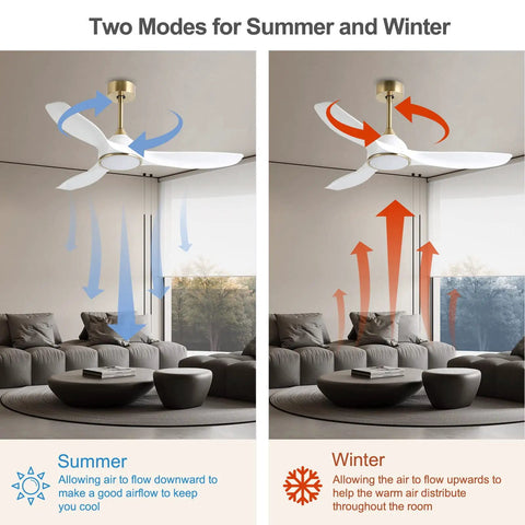 52 Inch Modern Ceiling Fan With Slick White And Gold Trim Hosting A Heavy Duty DC Motor That Pushes Sweet Cooling Airflow Quick While Delivering Zero Hassle Remote Operation Plus Soft Led Glow showing summer and winter airflow modes.