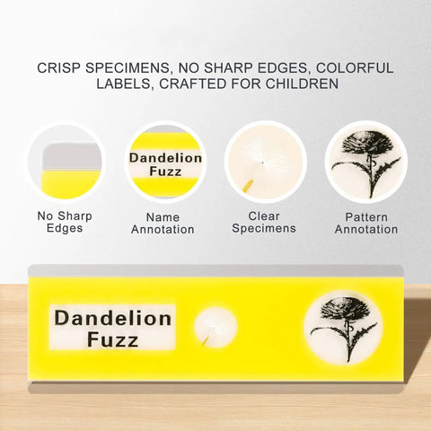 48 Piece Prepared Microscope Slides Set for Stereo Microscope, Plant Insect and Animal Tissue Specimens, Ideal Education Tool for Classrooms and Home Science Labs. Dandelion fuzz slide box