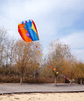 Colorful Parafoil Kite With 118 Inch Long Tail Go-To Outdoor Fun Easy To Fly Includes Handle And Line 20 Inch Frame Great For Beginners And Parks