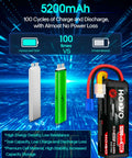 Comparison of 6S LiPo Battery 22.2V 5200mAh 100C EC5 Connector, highlighting energy density and discharge performance