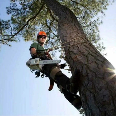 Arborist using Pro Grade Tree Climbing Kit With Spikes And Adjustable Straps, Steel Core Flip Line for safe tree climbing.