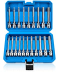 Pro Shop Extra Long Hex Socket Set Featuring Twenty Precision Allen Bits And 3/8 Inch Drive displayed in a blue case.