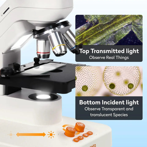 Digital Microscope 1200X USB With a 7 Inch Rotatable Screen for Kids and Adults, Easy to Share Observations in Classrooms and at Home, Compact Design That Makes Science Hands On and Fun, white microscope with dual lights