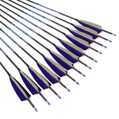 Beast Carbon Arrows For Target Practice And Hunting 29 Inch Overall Length With 26 Inch Shaft 350 Spine Rotatable Nock Six Point Two Millimeter