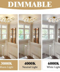 Seven Light Mid Century Modern Flush Mount Ceiling Light With Amber Glass Sputnik Globes Brass Gold Finish dimmable display