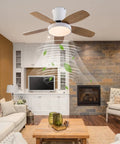 Ceiling Fan with Light 2200 Lumens 3 Color Temperature Flush Mount Indoor in a modern living room setting.