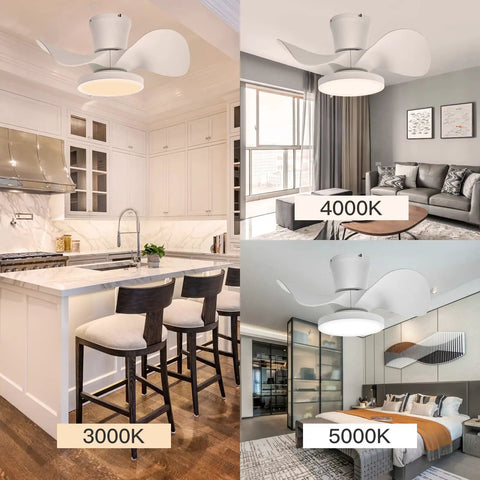 Quiet Ceiling Fan With LED Light 22 Inch Remote Control Big Airflow in kitchen, living room, bedroom showing light temperature settings