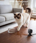 Spotlight Security Camera 2.5K 4MP Indoor Outdoor Wired Plug In With 2.4G WiFi near spilled water on table with cat