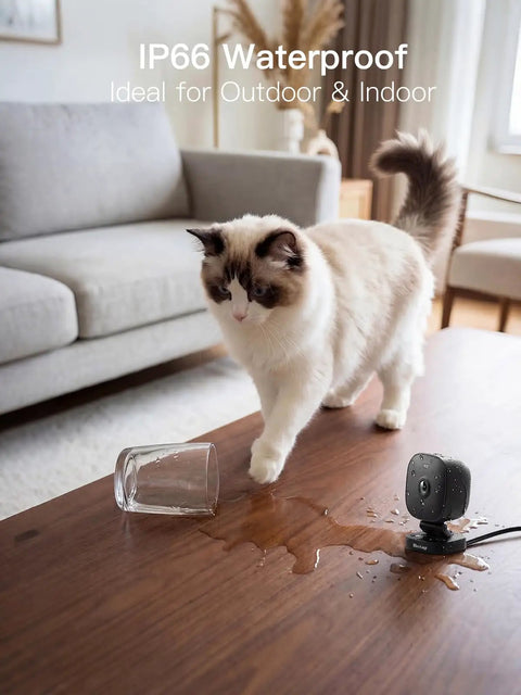 Spotlight Security Camera 2.5K 4MP Indoor Outdoor Wired Plug In With 2.4G WiFi near spilled water on table with cat