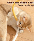 Cat playing with Cat Chew Rope Toys 4 Pack For Indoor Cats With Refillable Catnip Pouch Safe Teeth Cleaning Rope Toys Interactive Nip Toys
