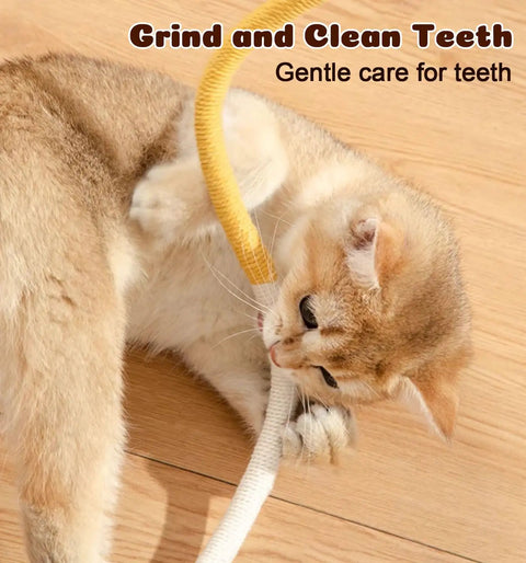 Cat playing with Cat Chew Rope Toys 4 Pack For Indoor Cats With Refillable Catnip Pouch Safe Teeth Cleaning Rope Toys Interactive Nip Toys