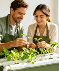 Two gardeners using Cone Replacement Blocks for Hydroponic Sponges, 50-Piece Growing System Pods, Perfect for Cloning and Germination