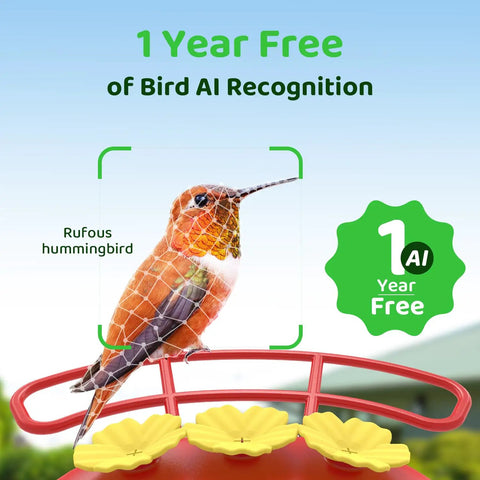 Dope Smart Hummingbird Feeder With Camera For Backyard Birding Solar Powered AI Identification 1080p Video Feed Ant Moat And Bee Proof 20oz Outdoor Hanging Gift For Bird Watching And Backyard Visitors showing Rufous hummingbird