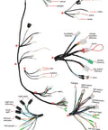 Complete GY6 Wiring Harness For 50cc 70cc 90cc 110cc 125cc 4 Stroke ATVs Mopeds showing labeled plug connections and wires layout.