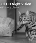 Tabby cat seen with Pet Cam With 1080p WiFi Night Vision 360 Degree Wide View Rotating Base Two Way Audio Motion And Sound Alerts