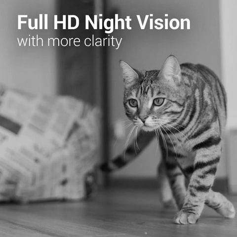 Tabby cat seen with Pet Cam With 1080p WiFi Night Vision 360 Degree Wide View Rotating Base Two Way Audio Motion And Sound Alerts