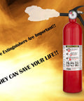 Get Your House Fortified With This Killer Set Of Seven Red Multipurpose Fire Extinguishers Rated 1-A 10-B-C Including A Sturdy Cleaning Cloth To Keep Your Gear Looking Sharp And Always Ready When You Need It Most. Red fire extinguisher with instructional label against a fiery background.