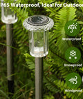 Close-up of Solar Outdoor Lights 12 Pack Waterproof Pathway Lights With Auto On Off Plug And Play Yard Patio Landscape Walkway Lighting 12 Hour Bright Starburst LEDs in rain