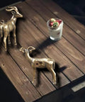 Kickass Solid Brass Cabinet Knobs With Super Sweet Retro Animal Drawer Pulls For Kitchen Cupboards Heavy Duty Furniture Hardware Featuring Smooth Adjustable Cuttable Step Screws on wooden table with decorative glass.