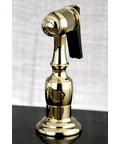 Kitchen Faucet Sprayer With Hose In Polished Brass, featuring a one-touch button control and durable construction.