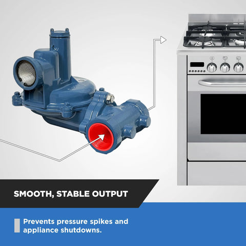 Blue natural gas regulator with red inlet port, 3/4 in NPT, metal body, shown beside a stainless gas stove.