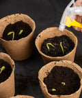 Plant sprouts in 40 Pcs 3.15 Inch Eco Friendly Biodegradable Peat Pots Seedling Starters Kit With 10 Labels For Flowers Vegetables Tomatoes Khaki