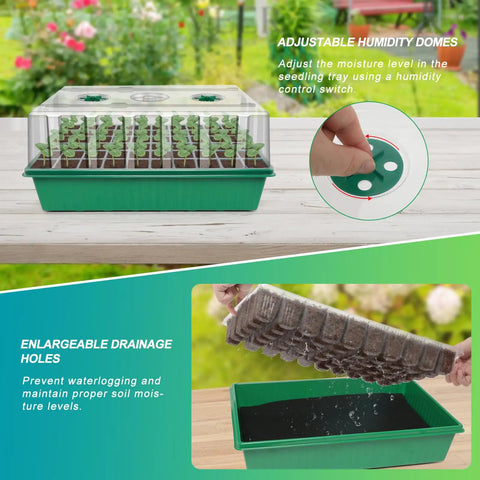 Self Watering Seed Starter Tray With Timed Grow Light 60 Cell Seedling Kit With Humidity Domes And Base Indoor Mini Greenhouse For Easy Germination And Busy Gardeners No Fuss