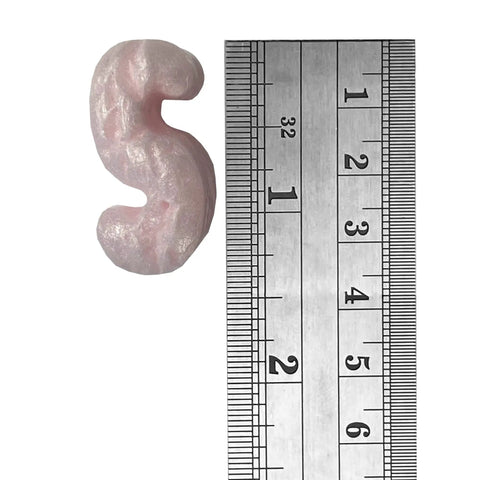 Close-up of a pink anti static packing peanut next to a ruler, showcasing size for Premium Bulk Anti Static Packing Peanuts 14 Cubic Feet Heavy Duty Void Fill For Secure Electronics Shipping Bean Bag Stuffing And Home Projects Straight Up Great Value.