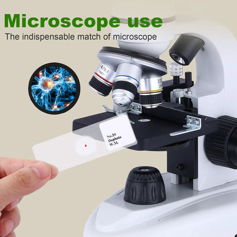 Hand placing slide under microscope from Awesome 30 Prepared Microscope Slides With Specimens For Biology Labs Includes Plants Algae