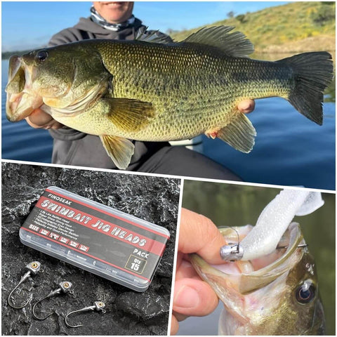 Collage of 3D Eyes Bass Jig Heads For Fishin And Angling, 15 Pieces Of Finesse Swimbait Jigs with fish, jig pack, and bait keeper close-up.