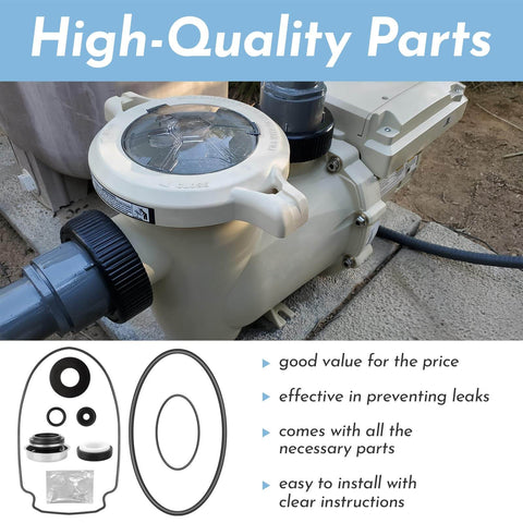 All In One O Ring Rebuild Kit For WhisperFlo And IntelliFlo Pool Pumps with Seal Gasket Set shown near pump installation
