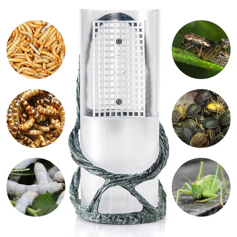 OIIBO Chameleon Feeding Bowl, Resin Vine Reptile Feeder with Grid Plate for Insect to Climb and Move, Reptile Hunting Bowl with Suction Cup for Chameleon, Lizard, Bearded Dragons, Iguana, Gecko, Frog with mixed insects and grid detail.