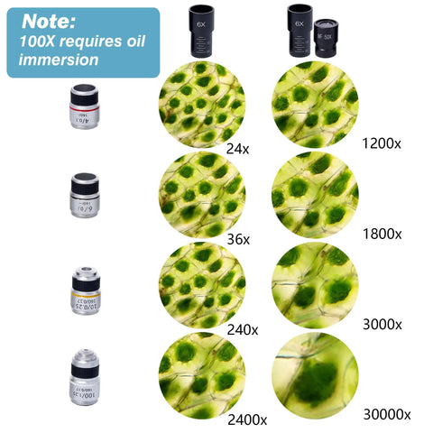 Microscope magnification levels, green cell samples, eyepieces, Binocular Compound Microscope For Adults And Students, 200X-5000X Magnification