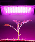 JUDYSSY Security Lights Outdoor Led Floodlight Waterproof Ip65 Led Reflector L, Cold White,100W, Warm Light-50W, plants under pink grow lights.