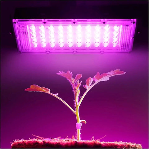JUDYSSY Security Lights Outdoor Led Floodlight Waterproof Ip65 Led Reflector L, Cold White,100W, Warm Light-50W, plants under pink grow lights.