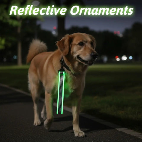 Dog wearing glowing 6 Pack Reflective Straps Glow In The Dark High Visibility Backpack Tags For Clothes Walking Cycling Dog Collar Camping And Bicycle Night Safety Gear Pendants at night on a path.