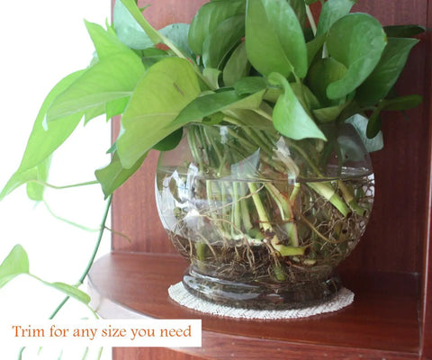 Glass vase with green leafy plant on wooden shelf, placed on No Slip Full Size Mattress Gripper And Rug Pad Keeps Mattress In Place And Rug From Sliding All Night Long Non Adhesive PVC Foam Anti Slip Pad For Bedroom And Living Room.