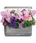 Petunia Cascading Seed Pod Kit For Indoor Hydroponic Garden, 6 Pod Pack growing in a sleek hydroponic planter with pink and purple flowers.