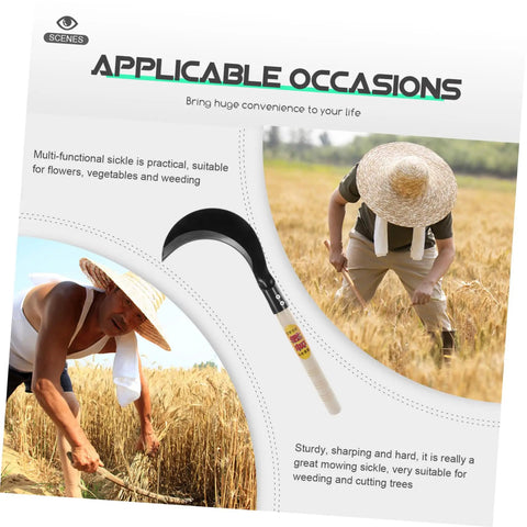 Long Handled Mowing Knife Garden Hoe With Wooden Handle For Weeding And Harvesting showcased with farmers in field