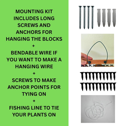 Set Of 2 Staghorn Fern Mounting Blocks 12 Inch Square Teak Wood Mounting Kit With Plastic Root Mesh And Hardware For Orchids And Air Plants includes screws, anchors, and wire