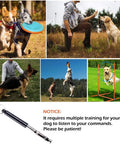 Collage featuring dog training with Budget Friendly All In One Dog Agility Training Set With Tunnel Weave Poles Hurdles Flying Disc Jump Ring.