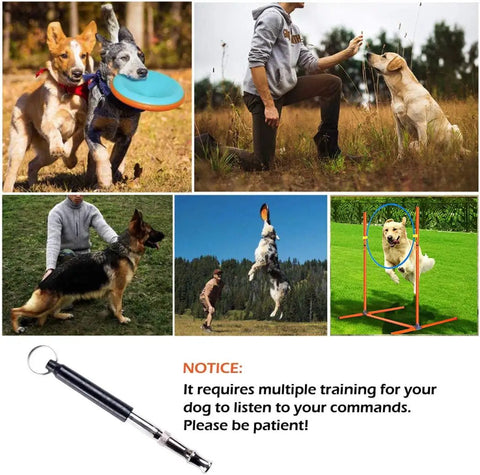 Collage featuring dog training with Budget Friendly All In One Dog Agility Training Set With Tunnel Weave Poles Hurdles Flying Disc Jump Ring.