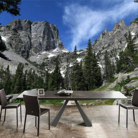 Modern dining room with Rocky Mountains Hiking Wallpaper Peel And Stick Self Adhesive Removable Wall Mural backdrop