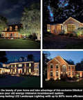 Four houses illuminated by landscape lighting at night showcasing the glow on brick and wood exteriors.