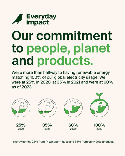 Infographic showing commitment to renewable energy, 60% in 2023, aims for 100% by 2030, with eco-friendly icons and text.