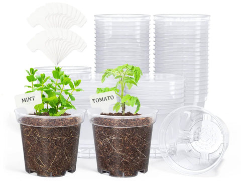 Clear 4 Inch Plant Pots With Drainage Holes, High Transparency Plastic Nursery Pots For Seedlings, Ideal DIY Seed Starter, 60 Pack